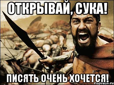 Открывай, Сука! Писять очень хочется!, Мем Это Спарта