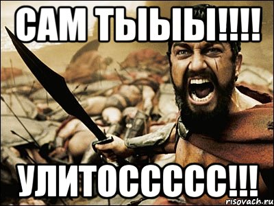 САМ ТЫЫЫ!!!! УЛИТОССССС!!!, Мем Это Спарта