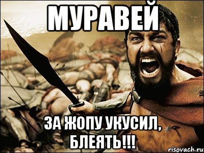 МУРАВЕЙ ЗА ЖОПУ УКУСИЛ, БЛЕЯТЬ!!!, Мем Это Спарта