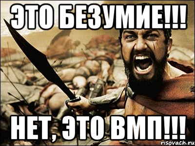 Это безумие!!! Нет, это ВМП!!!, Мем Это Спарта