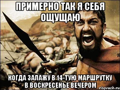 примерно так я себя ощущаю когда залажу в 14-тую маршрутку в воскресенье вечером, Мем Это Спарта