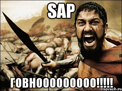 SAP говнооооооооо!!!!!, Мем Это Спарта