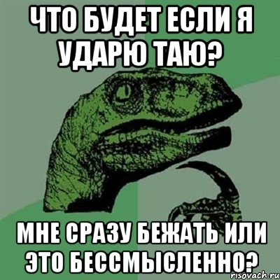 что будет если я ударю таю? мне сразу бежать или это бессмысленно?, Мем Филосораптор