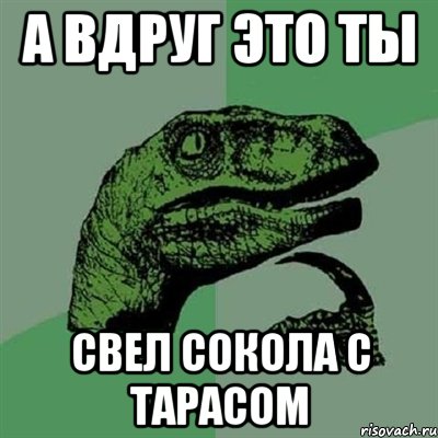 А ВДРУГ ЭТО ТЫ СВЕЛ СОКОЛА С ТАРАСОМ, Мем Филосораптор