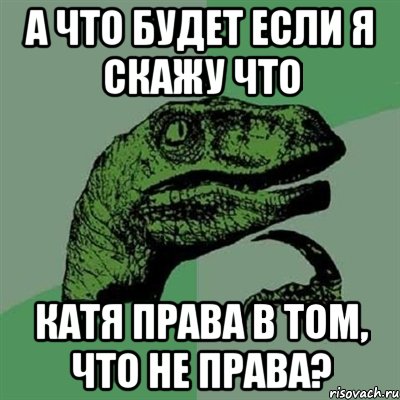 А что будет если я скажу что Катя права в том, что не права?, Мем Филосораптор