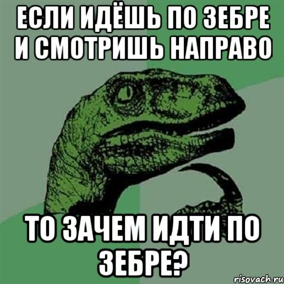 Если идёшь по зебре и смотришь направо то зачем идти по зебре?, Мем Филосораптор