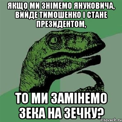 Якщо ми знімемо Януковича, вийде Тимошенко і стане президентом, то ми замінемо зека на зечку?, Мем Филосораптор