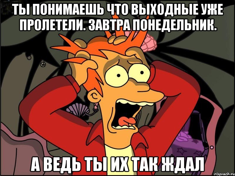 ты понимаешь что выходные уже пролетели. завтра понедельник. а ведь ты их так ждал, Мем Фрай в панике