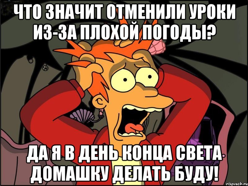 Что значит отменили уроки из-за плохой погоды? Да я в день конца света домашку делать буду!, Мем Фрай в панике