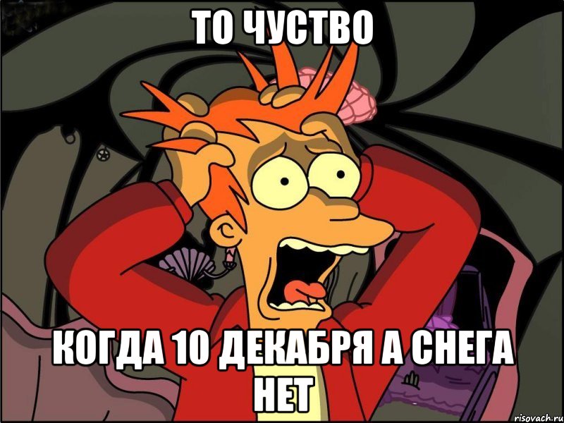 то чуство когда 10 декабря а снега нет, Мем Фрай в панике