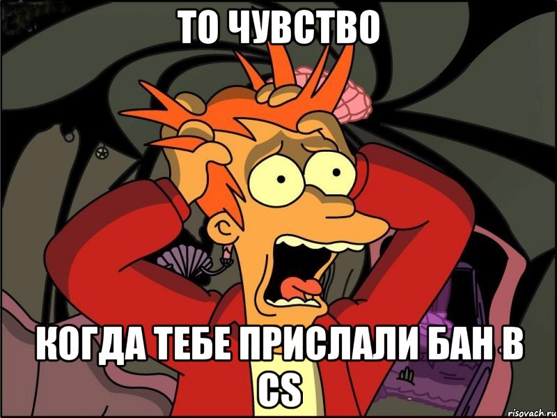 то чувство когда тебе прислали бан в cs, Мем Фрай в панике