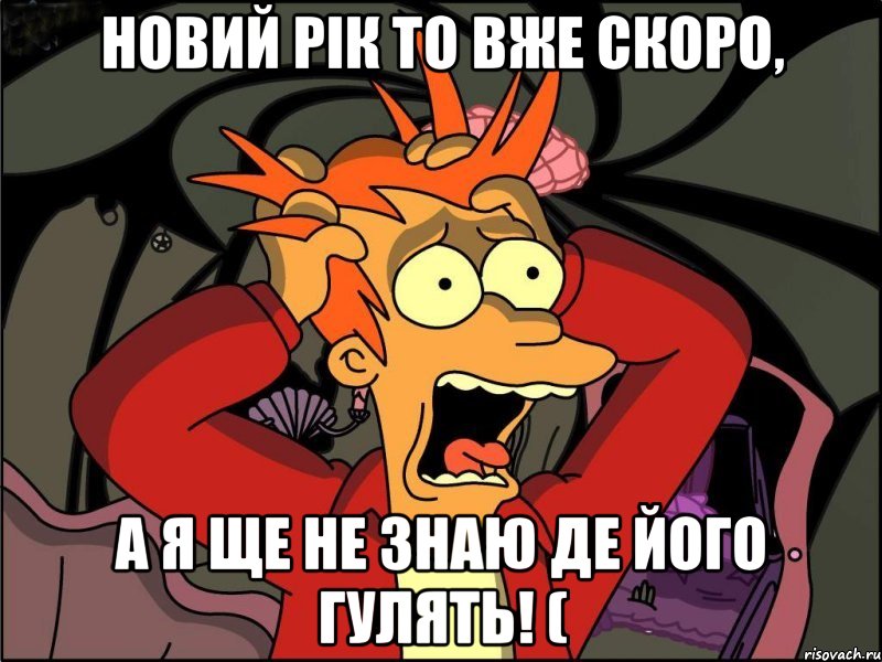 Новий рік то вже скоро, а я ще не знаю де його гулять! (, Мем Фрай в панике