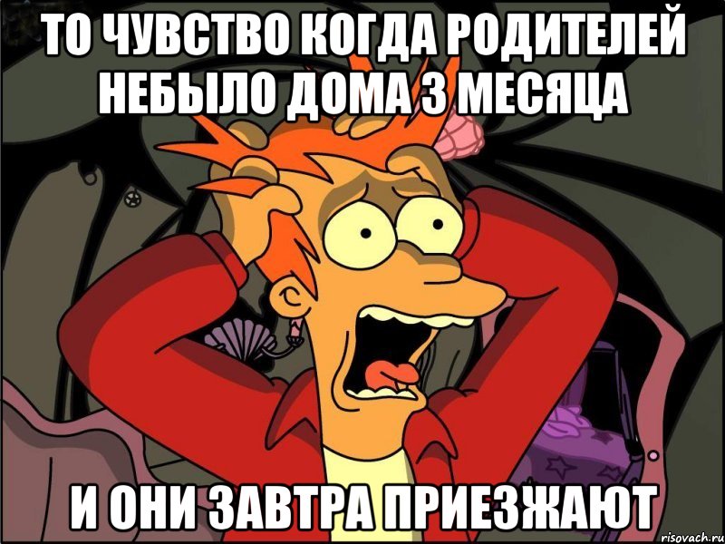 то чувство когда родителей небыло дома 3 месяца и они завтра приезжают, Мем Фрай в панике