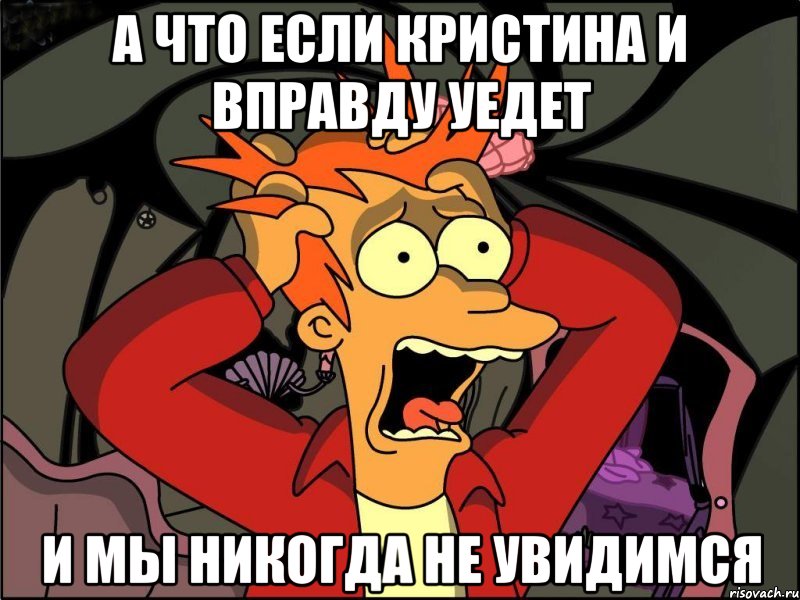 А ЧТО ЕСЛИ КРИСТИНА И ВПРАВДУ УЕДЕТ И МЫ НИКОГДА НЕ УВИДИМСЯ, Мем Фрай в панике