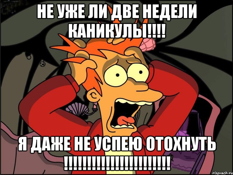 НЕ уже ли две недели каникулы!!!! Я даже не успею отохнуть !!!!!!!!!!!!!!!!!!!!!!!, Мем Фрай в панике