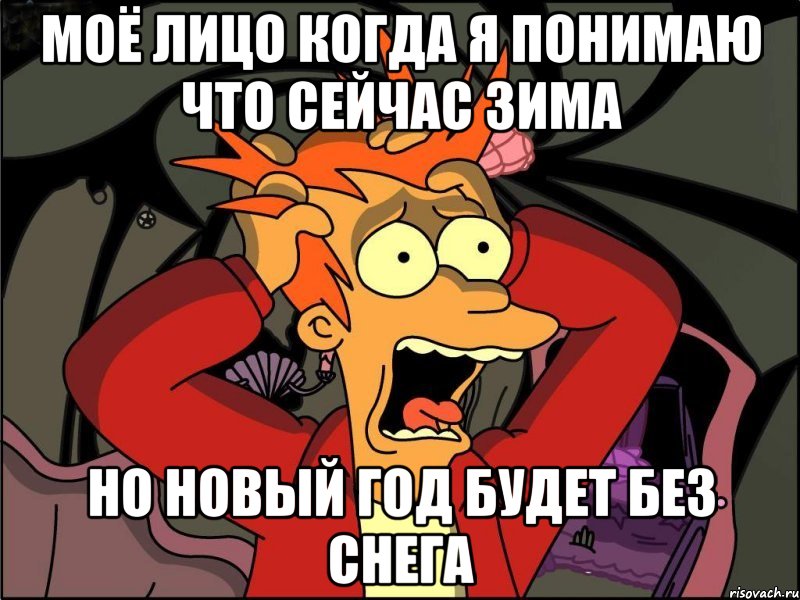 МОЁ лицо когда я понимаю что сейчас зима но новый год будет без снега, Мем Фрай в панике