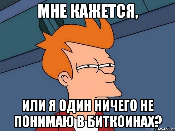 Мне кажется, или я один ничего не понимаю в биткоинах?, Мем  Фрай (мне кажется или)