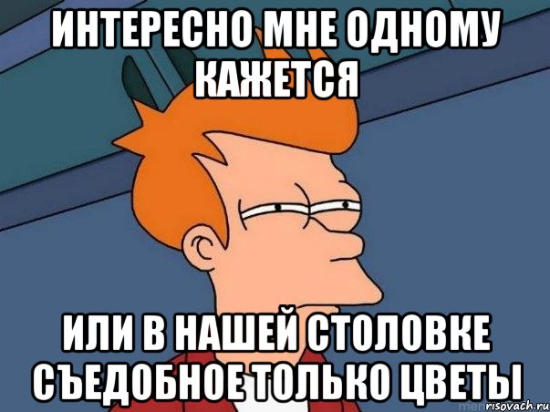 Интересно мне одному кажется или в нашей столовке съедобное только цветы, Мем  Фрай (мне кажется или)