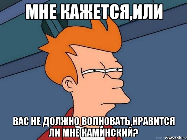 мне кажется,или вас не должно волновать,нравится ли мне Каминский?, Мем  Фрай (мне кажется или)