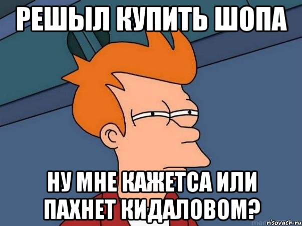 Решыл купить шопа ну мне кажетса или пахнет кидаловом?, Мем  Фрай (мне кажется или)