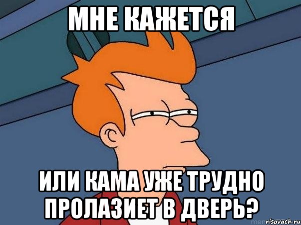 Мне кажется Или кама уже трудно пролазиет в дверь?, Мем  Фрай (мне кажется или)