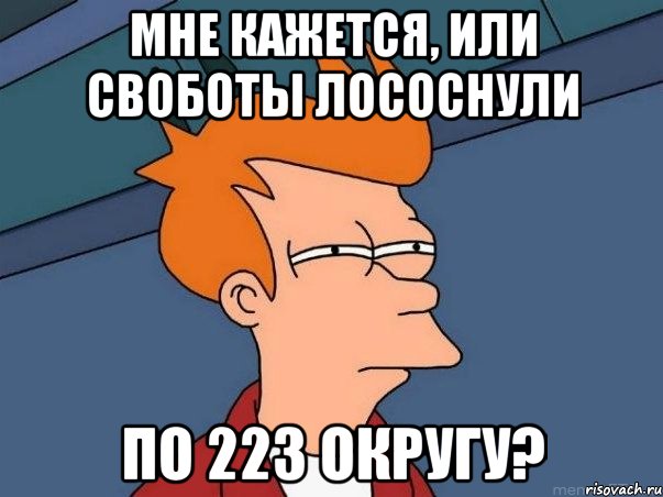 мне кажется, или своботы лососнули по 223 округу?, Мем  Фрай (мне кажется или)