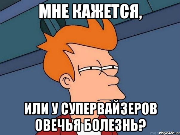 мне кажется, или у супервайзеров овечья болезнь?, Мем  Фрай (мне кажется или)