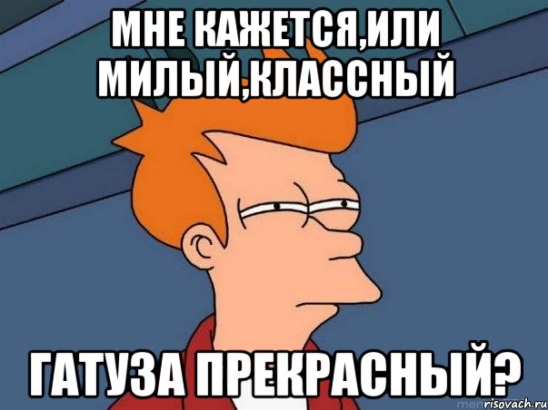 Мне кажется,или милый,классный Гатуза прекрасный?, Мем  Фрай (мне кажется или)