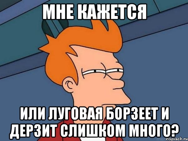 мне кажется или луговая борзеет и дерзит слишком много?, Мем  Фрай (мне кажется или)