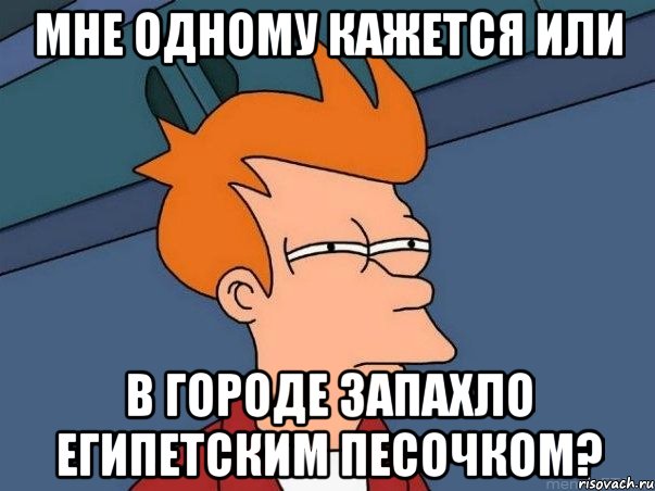 МНЕ ОДНОМУ КАЖЕТСЯ ИЛИ В ГОРОДЕ ЗАПАХЛО ЕГИПЕТСКИМ ПЕСОЧКОМ?, Мем  Фрай (мне кажется или)