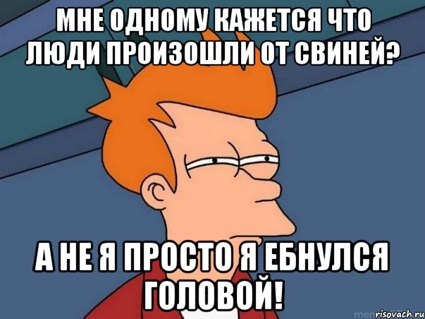 МНЕ ОДНОМУ КАЖЕТСЯ ЧТО ЛЮДИ ПРОИЗОШЛИ ОТ СВИНЕЙ? А НЕ Я ПРОСТО Я ЕБНУЛСЯ ГОЛОВОЙ!, Мем  Фрай (мне кажется или)