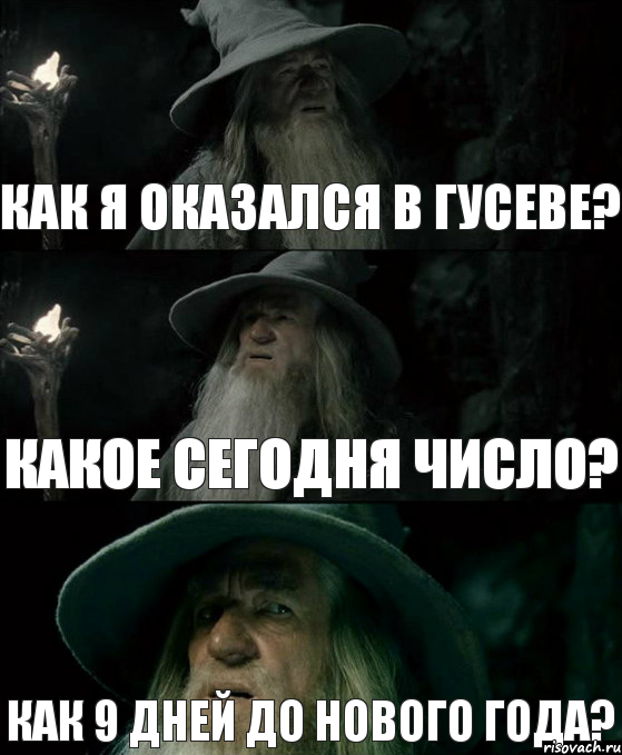 Как я оказался в Гусеве? какое сегодня число? как 9 дней до Нового Года?, Комикс Гендальф заблудился