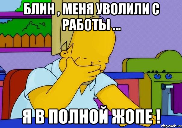 Блин , меня уволили с работы ... Я в полной жопе !