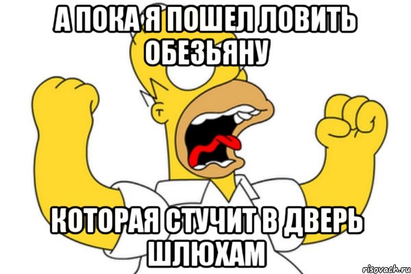 А пока я пошел ловить обезьяну Которая стучит в дверь шлюхам, Мем Разъяренный Гомер