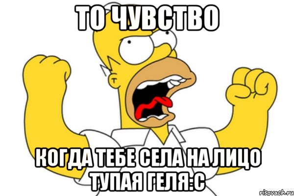 то чувство когда тебе села на лицо тупая Геля:с, Мем Разъяренный Гомер