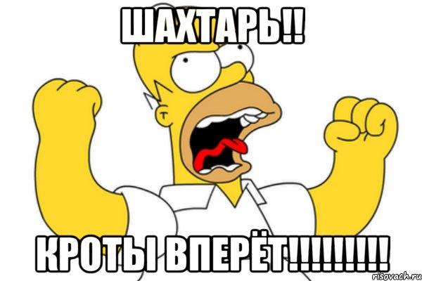 Шахтарь!! Кроты вперёт!!!!!!!!!, Мем Разъяренный Гомер