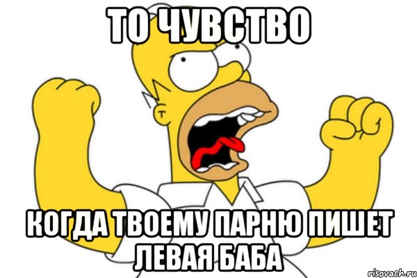 То чувство Когда твоему парню пишет левая баба, Мем Разъяренный Гомер