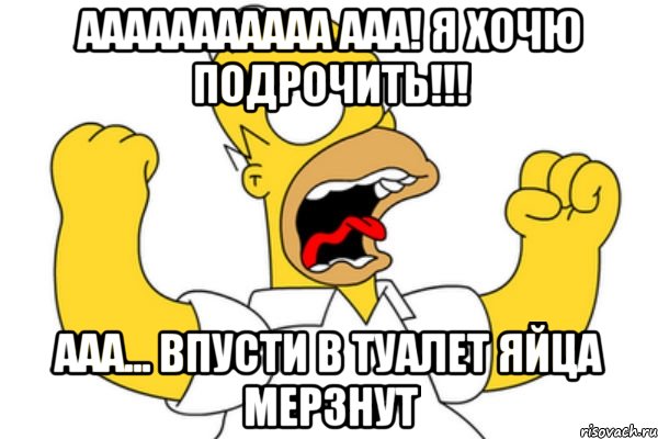 ааааааааааа ааа! я хочю подрочить!!! ааа... впусти в туалет яйца мерзнут, Мем Разъяренный Гомер