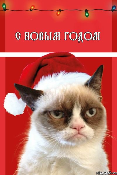 с новым годом, Комикс  Grumpy cat new year