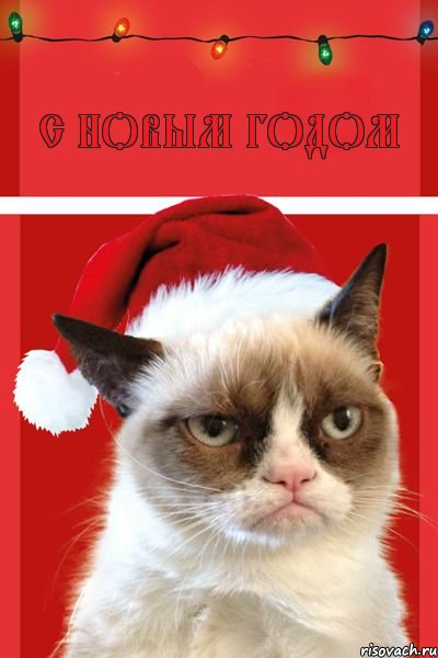 С Новым Годом, Комикс  Grumpy cat new year