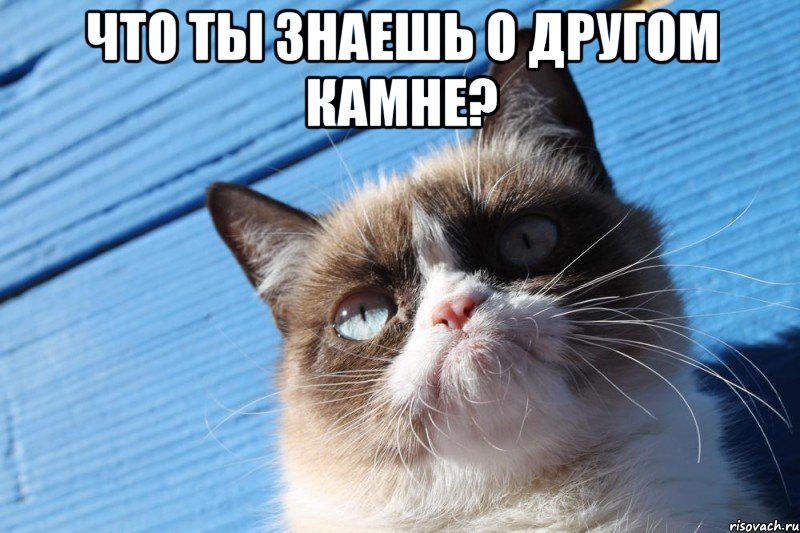 что ты знаешь о другом камне? , Мем  grumpy cat