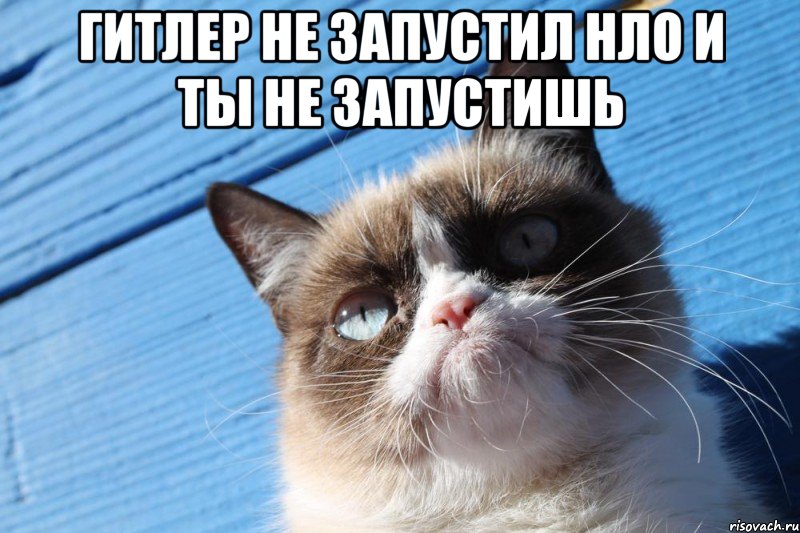 гитлер не запустил нло и ты не запустишь , Мем  grumpy cat