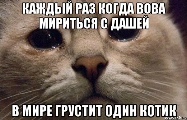 Каждый раз когда Вова мириться с Дашей В мире грустит один котик, Мем   В мире грустит один котик
