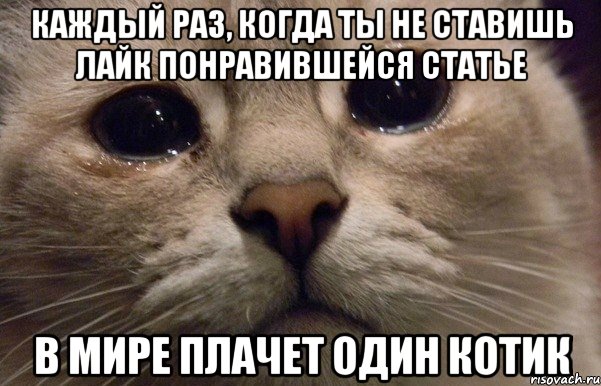 Каждый раз, когда ты не ставишь лайк понравившейся статье В мире плачет один котик, Мем   В мире грустит один котик