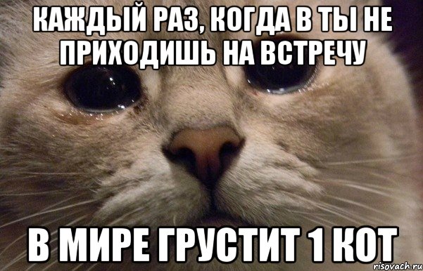 Каждый раз, когда в ты не приходишь на встречу В мире грустит 1 кот, Мем   В мире грустит один котик