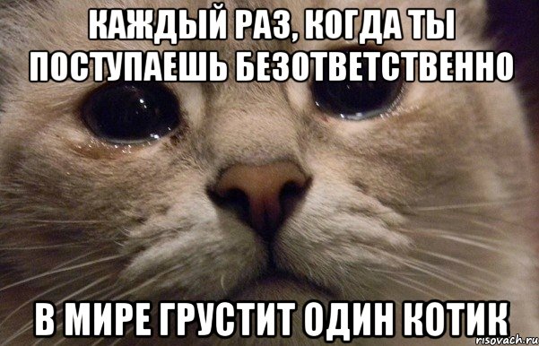 Каждый раз, когда ты поступаешь безответственно в мире грустит один котик, Мем   В мире грустит один котик