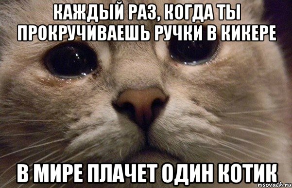 каждый раз, когда ты прокручиваешь ручки в кикере в мире плачет один котик, Мем   В мире грустит один котик