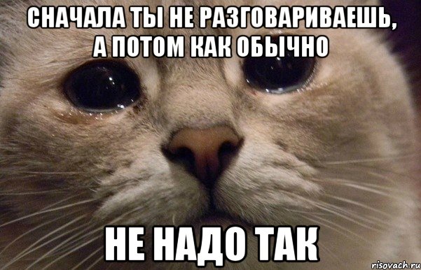 сначала ты не разговариваешь, а потом как обычно Не надо так, Мем   В мире грустит один котик