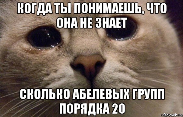 Когда ты понимаешь, что она не знает сколько абелевых групп порядка 20, Мем   В мире грустит один котик