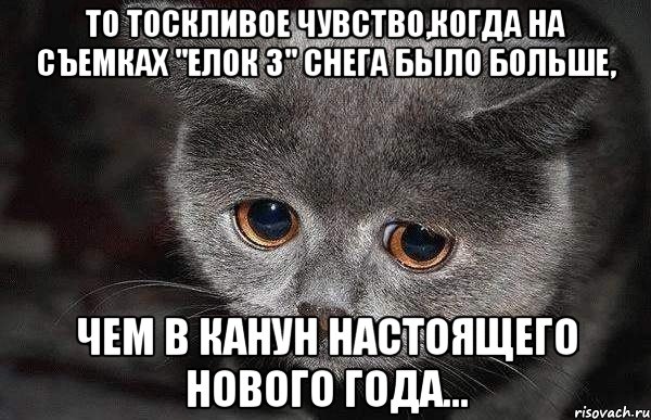 То тоскливое чувство,когда на съемках "Елок 3" снега было больше, чем в канун настоящего Нового года..., Мем  Грустный кот